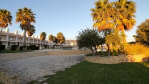 Un cortile con palme, un muro in pietra e un vialetto lastricato che conduce a un edificio con balconi.