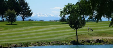 Golf