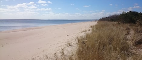 On the beach