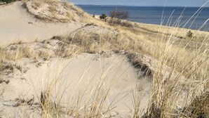 Una playa arenosa con dunas y vegetación escasa.