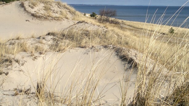 Una playa arenosa con dunas y vegetación escasa.