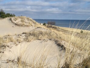 En sandstrand med sanddyner och gles vegetation.