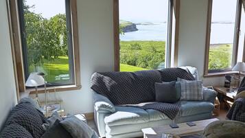 Smart-TV, Kamin, Bücher, Musikbibliothek