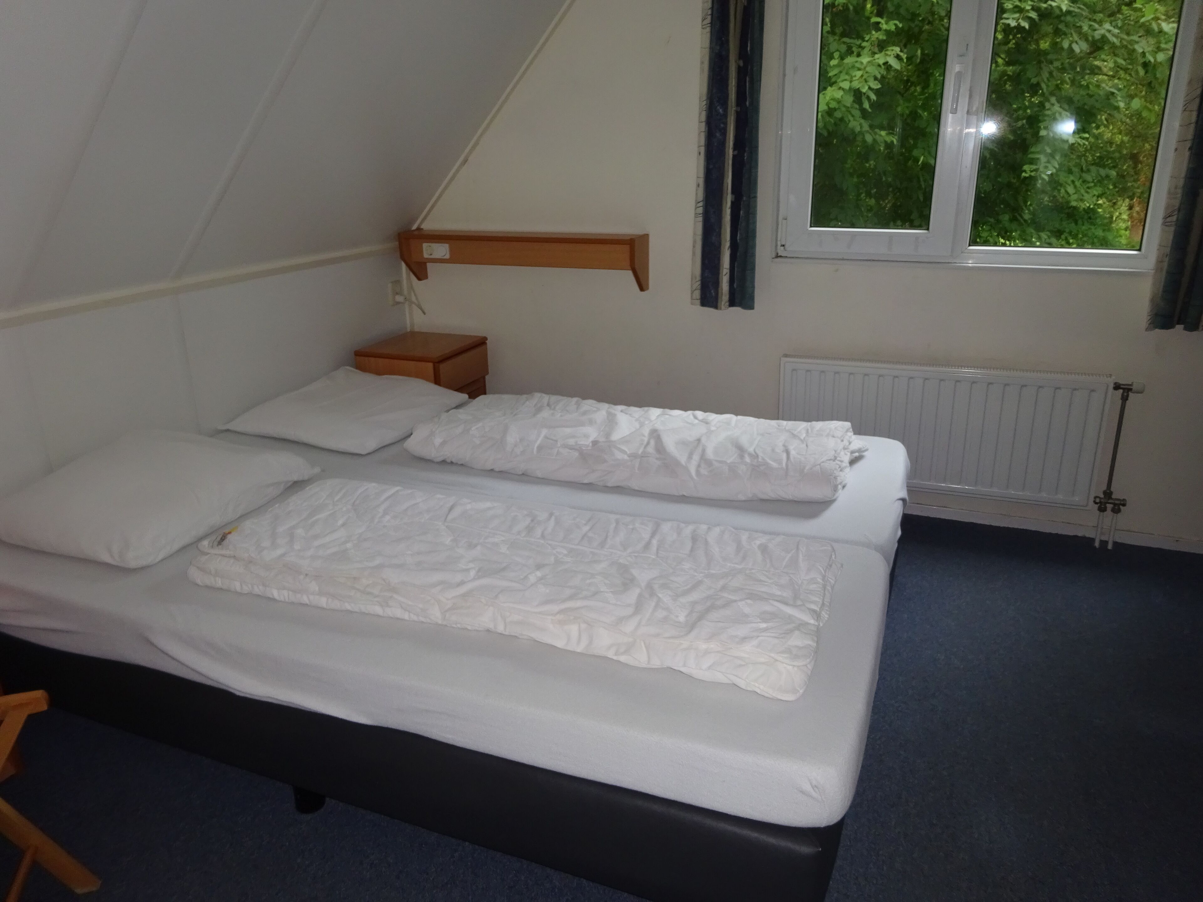 Large house with forest and lake