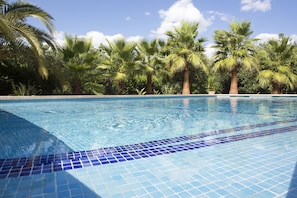 A swimming pool with clear blue water, surrounded by palm trees and lush greenery.