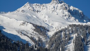A snow-covered mountain with a clear sky.