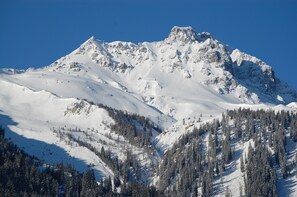 Snow and ski sports - Luxury Wooden Swiss Chalet With Private Sauna - Switzerland (Klosters)