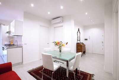 Luxury apartment 200 meters from St. Peter's basilica, in the heart of Rome