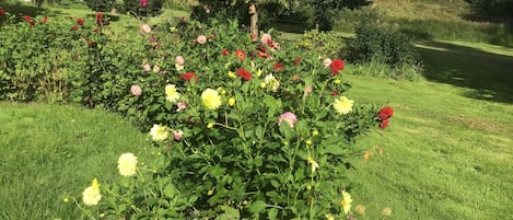 Jardines del alojamiento