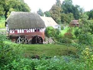 Exterior - Stay idyllically at the old watermill and lake. (vejstrup)