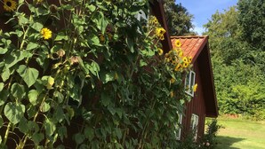 A rustic wooden house with a sloped roof, surrounded by a well-maintained lawn and a dense hedge.
