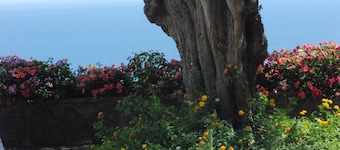 Gorgeous villa on the Faraglioni 3 rooms 6 places + extra suite 2 places