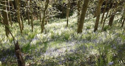 Studio Flat In Quiet Village Between Ludlow And Leominster