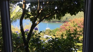 Vista a través de una ventana de un lago rodeado de exuberante vegetación y plantas en flor.