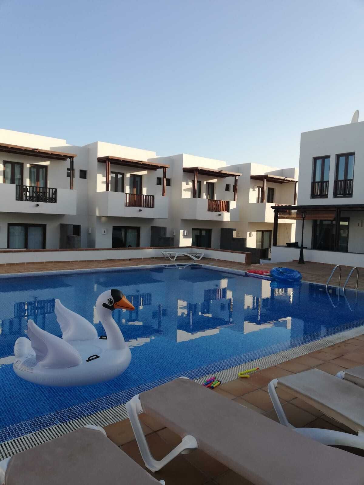 Une piscine agrémentée de bouées en forme de cygnes, entourée de bâtiments modernes dotés de balcons.
