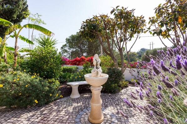 Un jardin agrémenté d’une fontaine en pierre, d’un banc et de diverses plantes, notamment de la lavande.