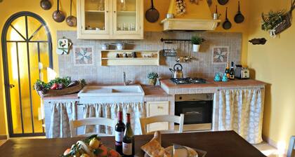 "Casa Bella Vista" Medieval tuscan apartment -family/group friendly near Pisa