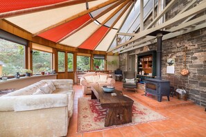 Televisie, een open haard, een dvd-speler en boeken