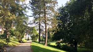 A paved pathway leading through a park with trees and grass. - KURPARK MAISONNETTE WILLINGEN ***** MOST REVIEWS - 2 BALCONIES - NL OWNER (Willingen (Upland))