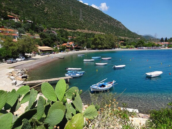 Playa en los alrededores y camastros 