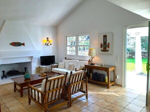 Smart TV, chimenea, reproductor de DVD y libros 