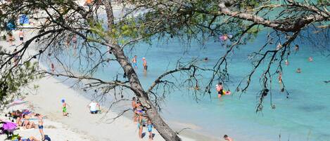 Una spiaggia nelle vicinanze