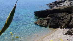 A rocky shoreline with clear blue water and yellow flowers in the foreground. - Scrittore - SCRITTORE VILLA (Capoliveri)