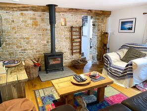 Smart TV, fireplace, DVD player, video library