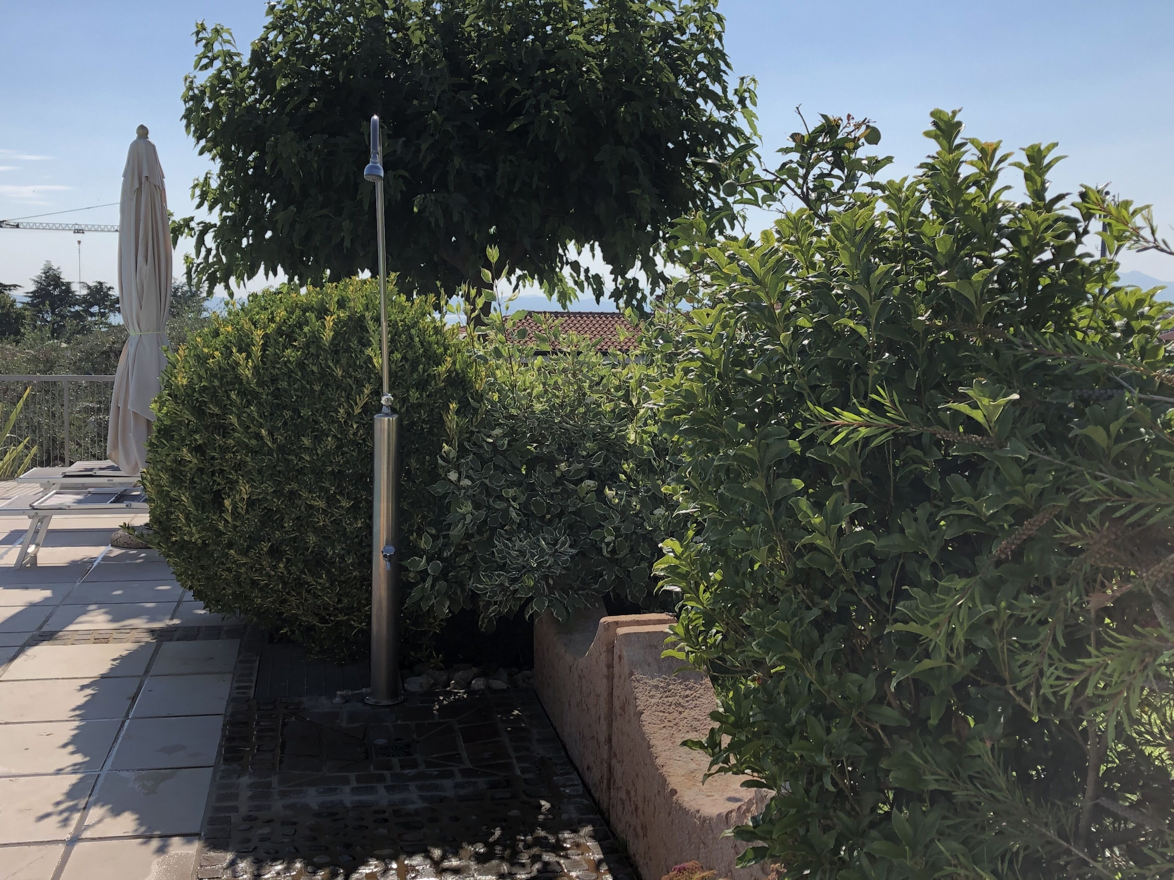 A statue, a metal pole, and dense greenery.