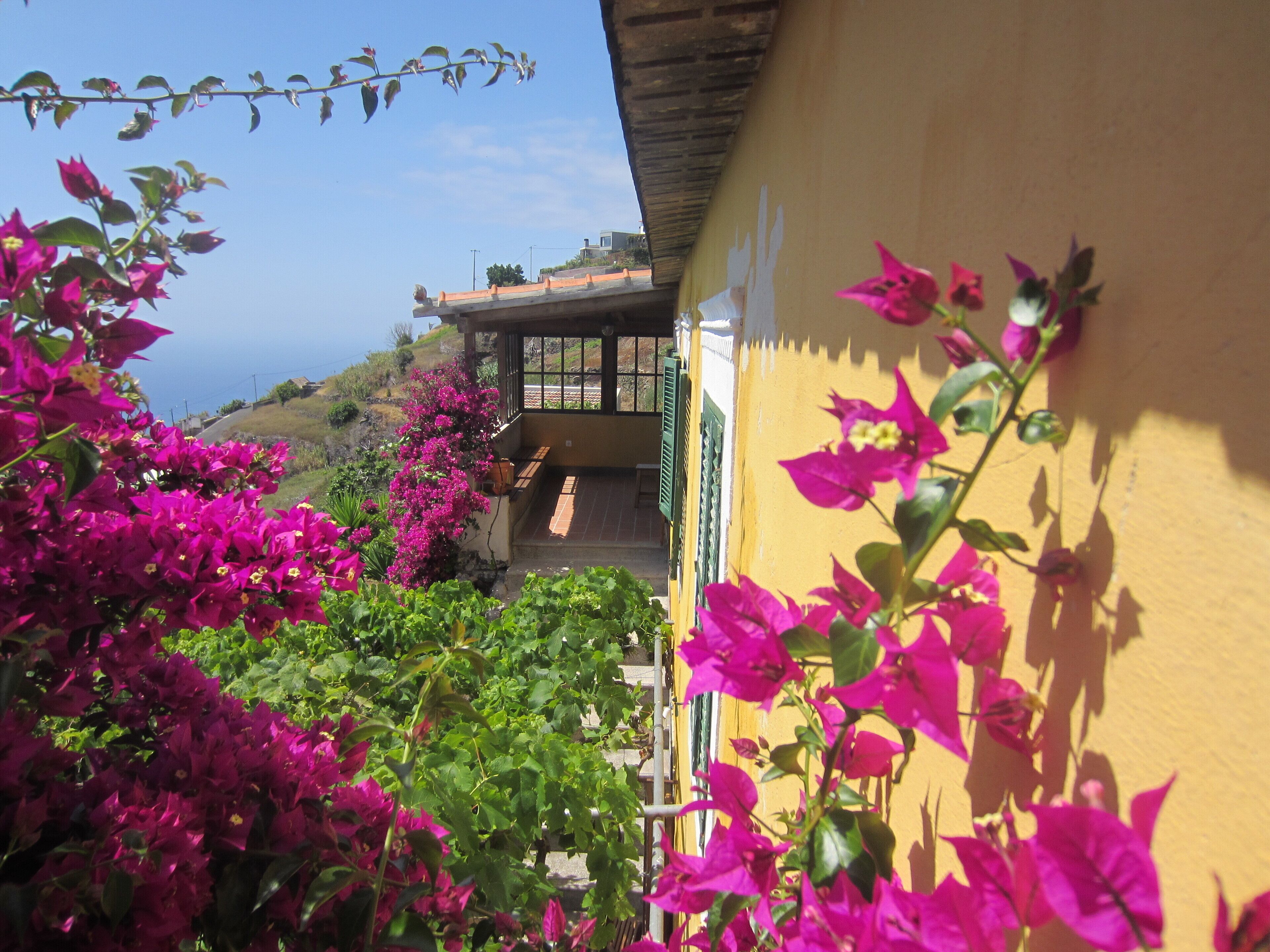 A building with a yellow exterior, a covered porch, and pink bougainvillea flowers.