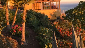 A coastal house with a garden, palm trees, and a view of the ocean. - Villa with private pool, large garden and stunning sea view (Faja da Ovelha)