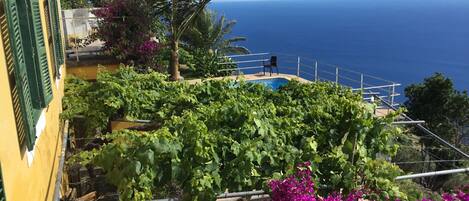 A terrace with a view of the sea, a pool, and a building with green shutters.