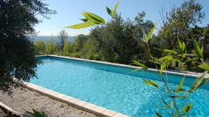 A rectangular swimming pool with clear blue water, surrounded by a pebble border and lush greenery.