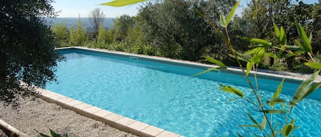Alberca