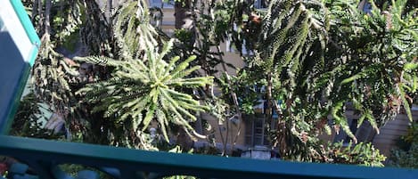 A balcony with a wrought iron railing overlooking a garden with various plants and trees.