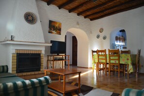 Fernseher, Kamin, DVD-Player, Bücher