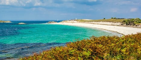 Playa en los alrededores 