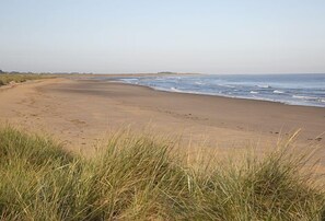 Beach - Sea Lodge, Brancaster, Norfolk (King's Lynn)