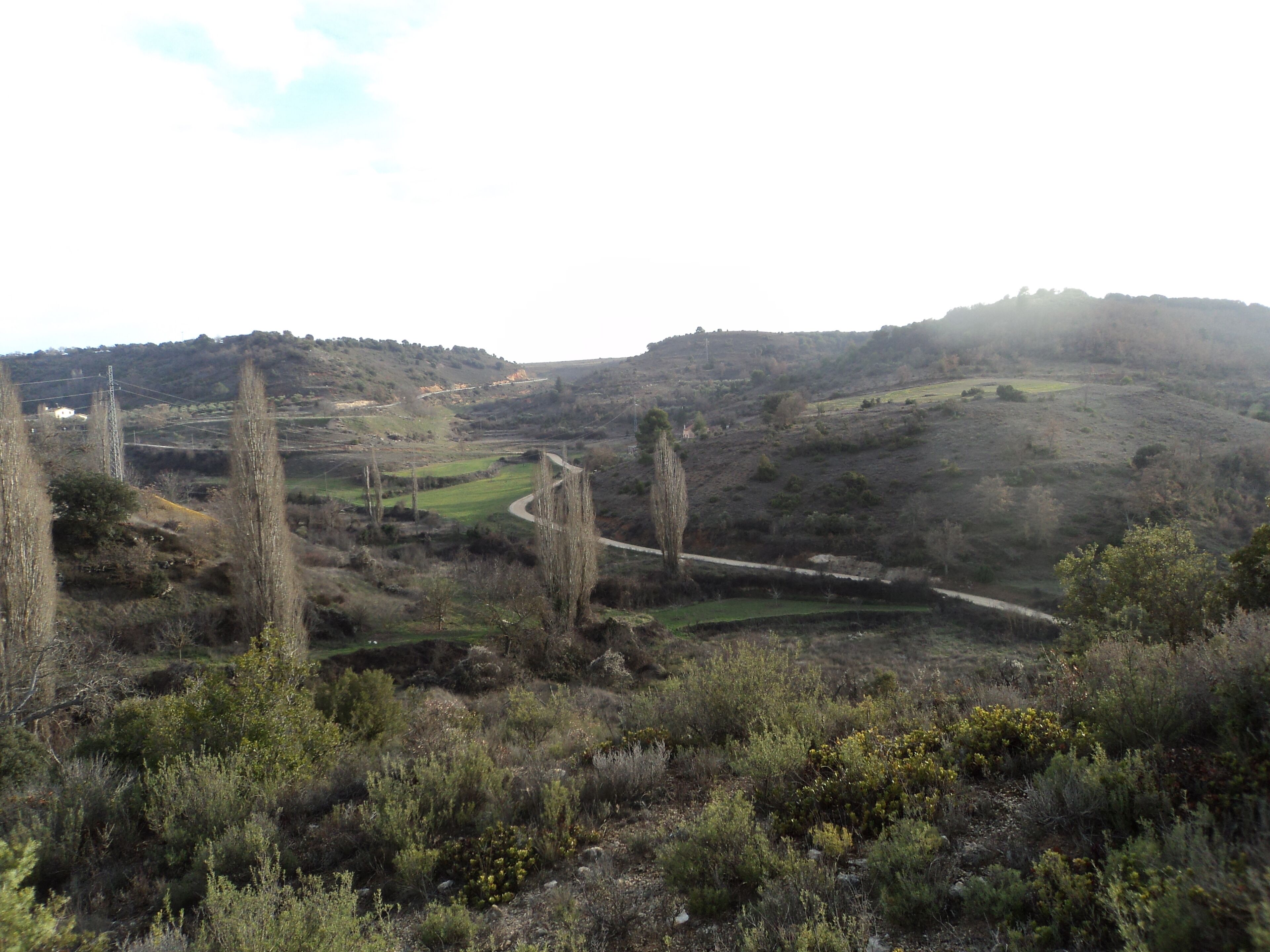 A rural landscape with a winding road, trees, and a hilly terrain.