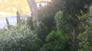 A concrete staircase with a white gate leading to a path surrounded by greenery. - Apartment/ flat - Cassis (Cassis)