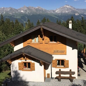 Exterior - Luxurious, detached chalet with Hot Tub + Sauna - in the 4 Valleys ski area (Vex)