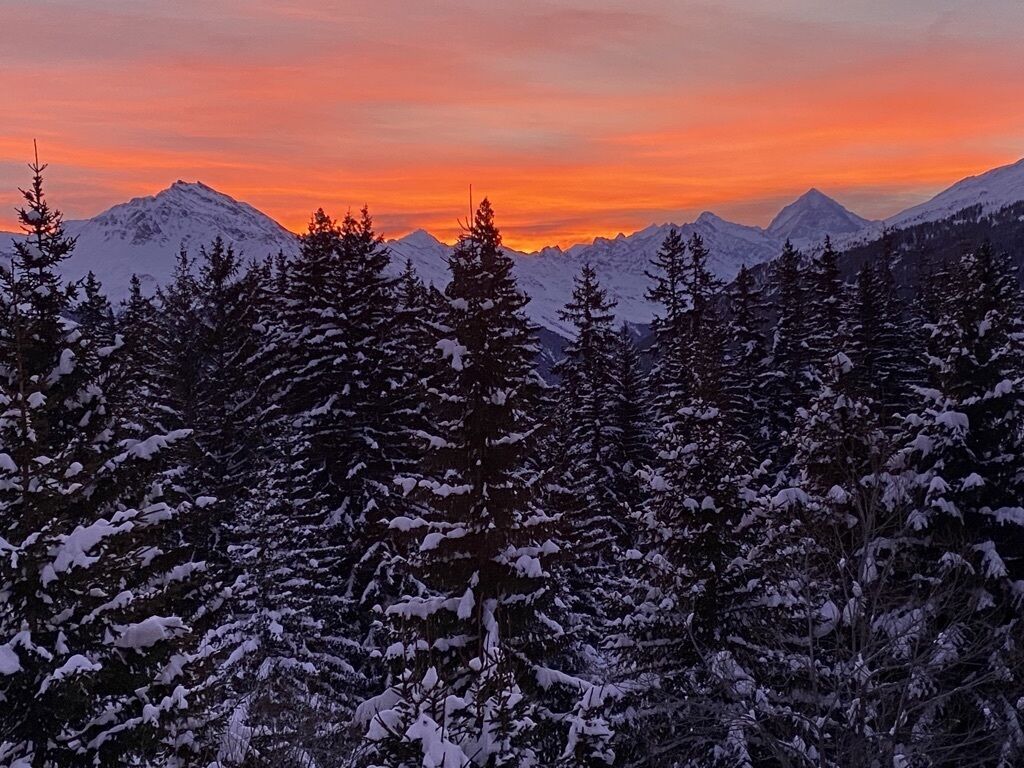 Eine verschneite Berglandschaft mit dichten Nadelbäumen und einem Sonnenuntergang.