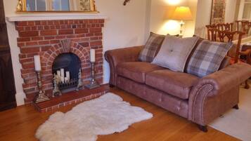 TV, fireplace, DVD player, books