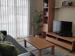 Fernseher