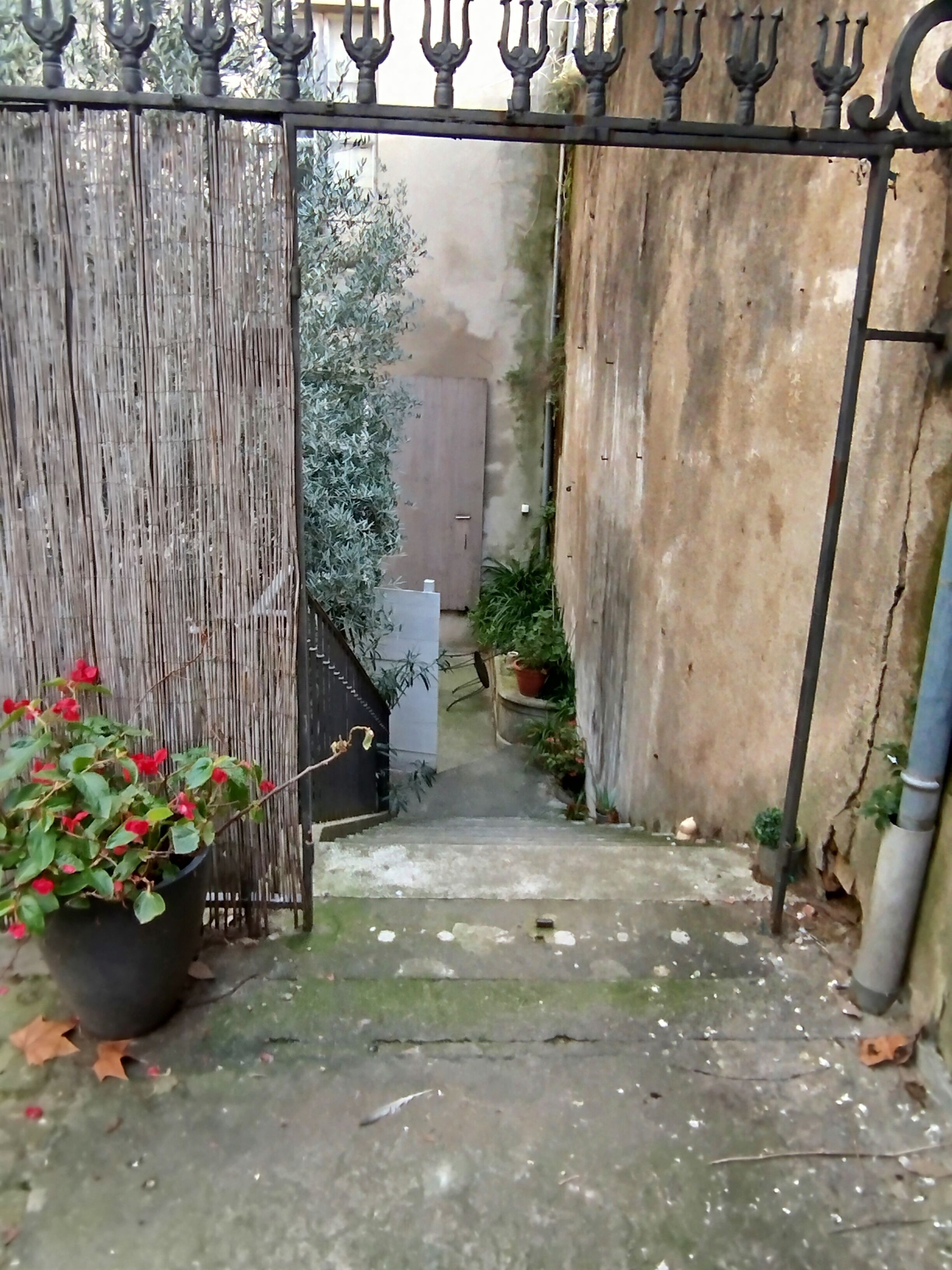 Un sendero de hormigón estrecho que lleva a una puerta de madera, bordeado por una valla de bambú y plantas en macetas.