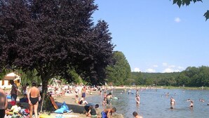 Una playa concurrida donde gente nada y juega en el agua, y un árbol ofrece sombra en la arena.