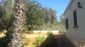 A courtyard with a palm tree, a white building with green shutters, and a fence. - 3-bedroom Villa with private swimming pool (Porches)