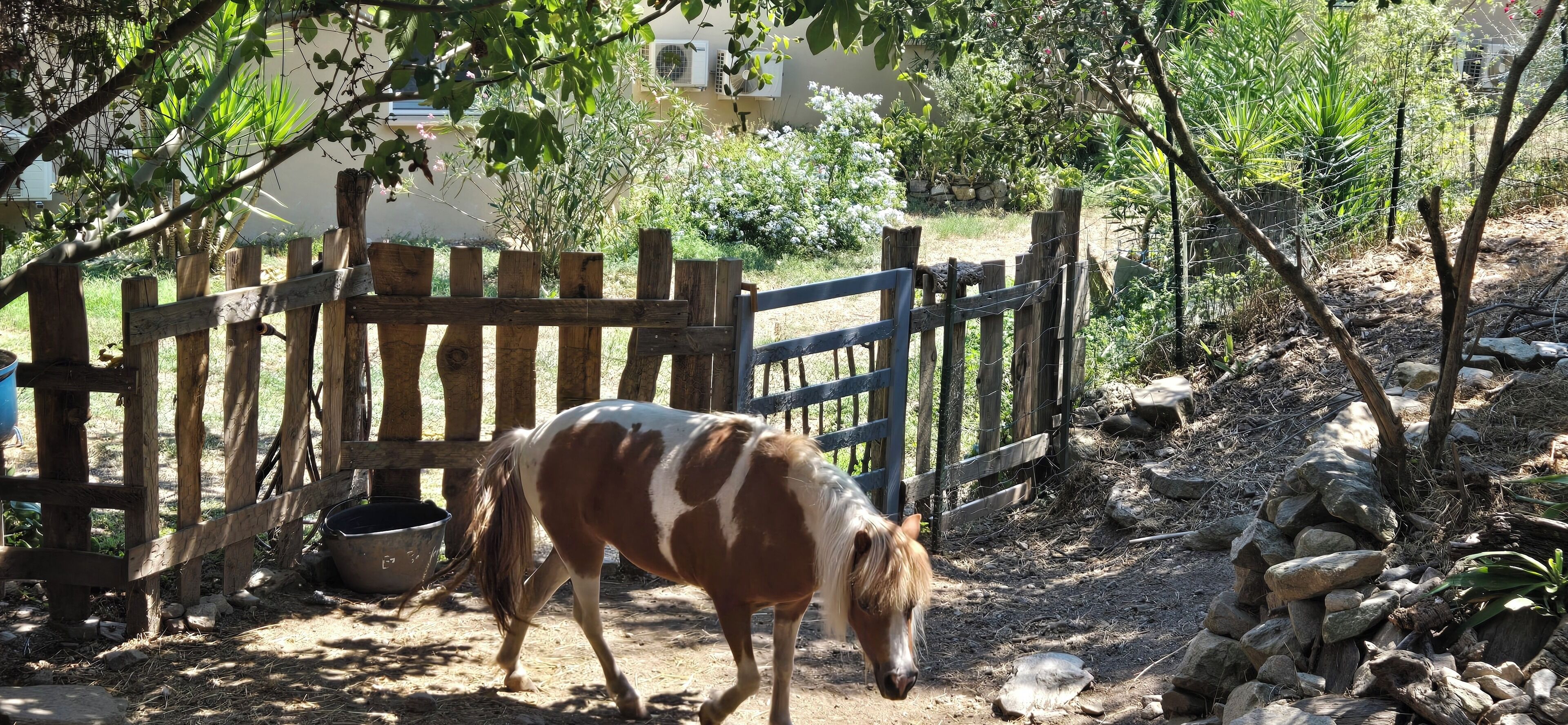 Un caballo pastando cerca de una valla de madera en un jardín con diversas plantas y un muro de piedra.