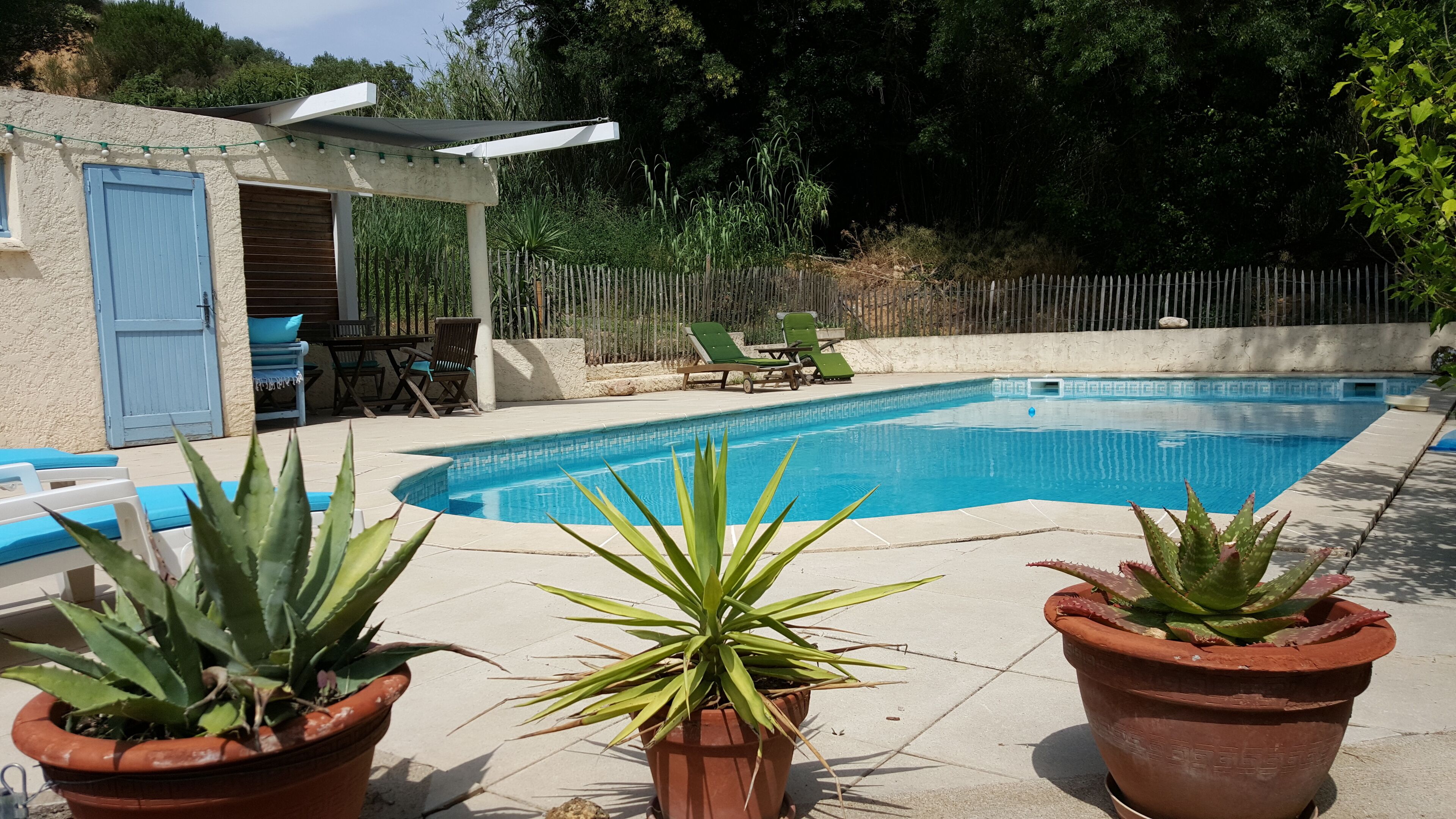 A backyard with a swimming pool, a covered patio, and potted plants.