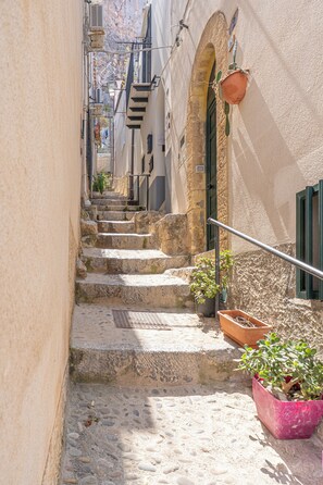 A narrow stone staircase leading to a building with a green door, potted plants, and a metal handrail.